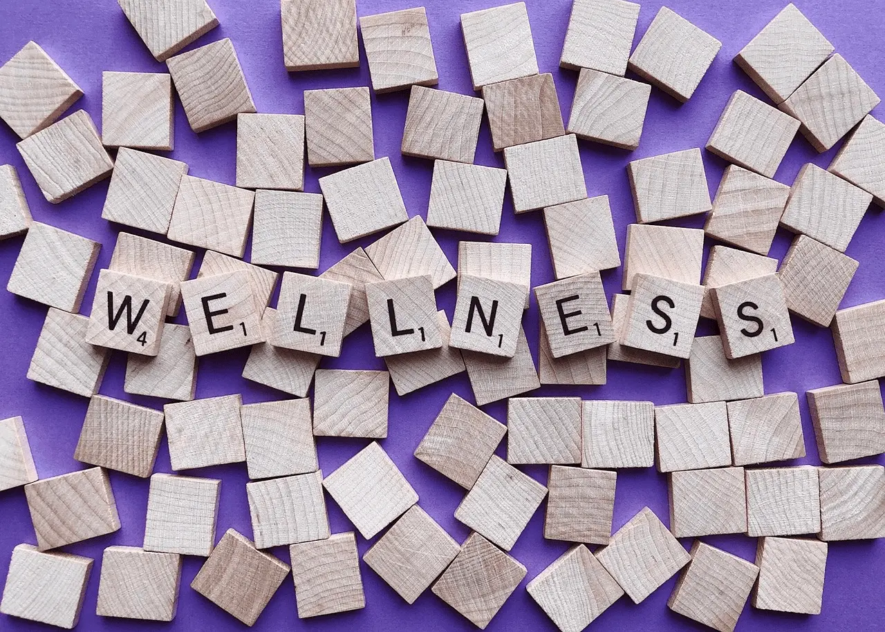 Why Mental Wellness Should Be a Core Part of Every Student's Routine