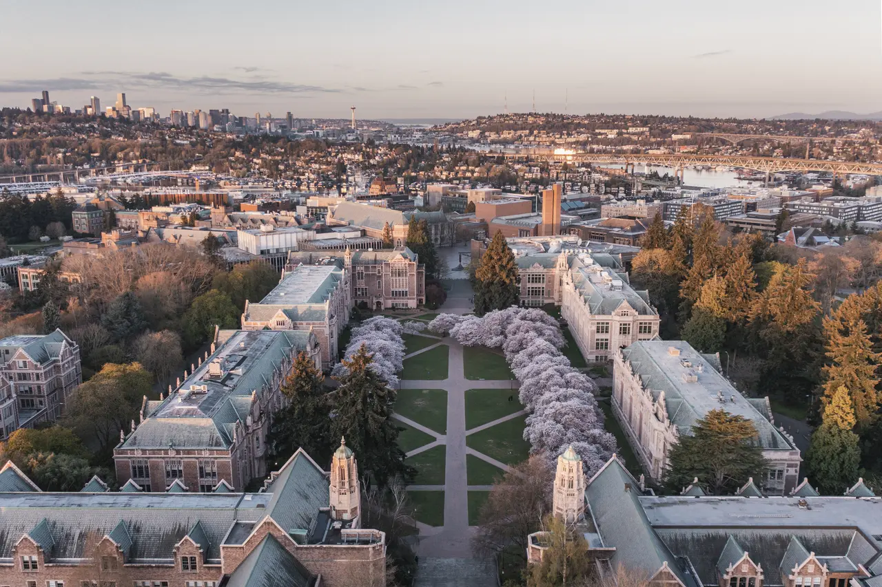 University campus with cherry blossom trees at golden hour